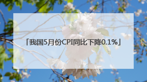我国5月份CPI同比下降0.1%