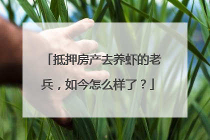 抵押房产去养虾的老兵，如今怎么样了？