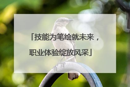 技能为笔绘就未来，职业体验绽放风采