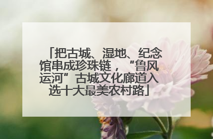 把古城、湿地、纪念馆串成珍珠链，“鲁风运河”古城文化廊道入选十大最美农村路