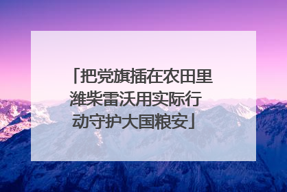 把党旗插在农田里 潍柴雷沃用实际行动守护大国粮安