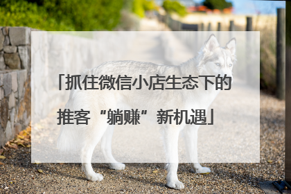 抓住微信小店生态下的推客“躺赚”新机遇