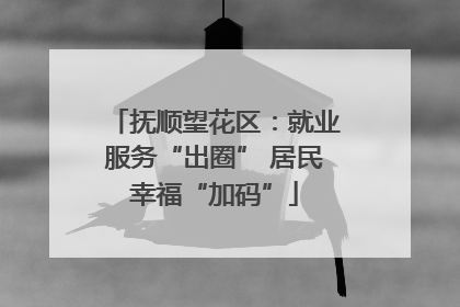 抚顺望花区：就业服务“出圈” 居民幸福“加码”