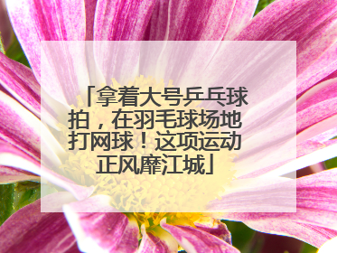 拿着大号乒乓球拍，在羽毛球场地打网球！这项运动正风靡江城