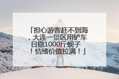担心游客赶不到海，大连一景区用铲车日撒1000斤蚬子！情绪价值拉满！
