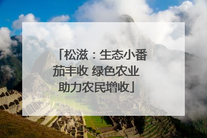 松滋：生态小番茄丰收 绿色农业助力农民增收