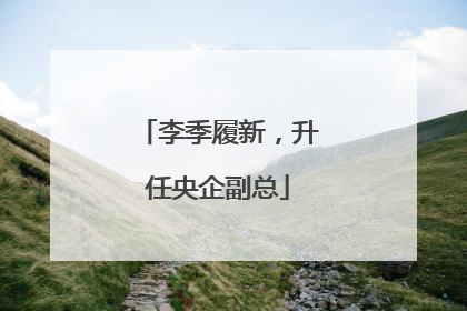李季履新，升任央企副总