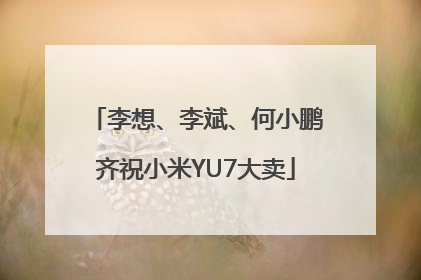 李想、李斌、何小鹏齐祝小米YU7大卖