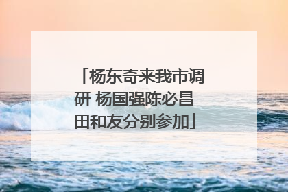 杨东奇来我市调研 杨国强陈必昌田和友分别参加