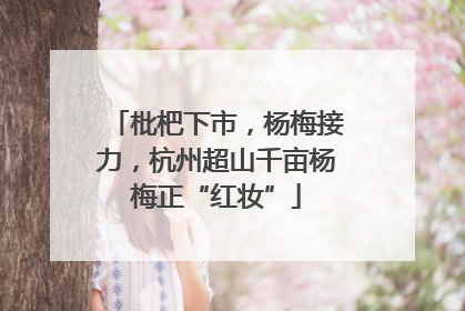 枇杷下市，杨梅接力，杭州超山千亩杨梅正“红妆”
