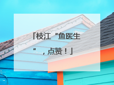 枝江“鱼医生”，点赞！