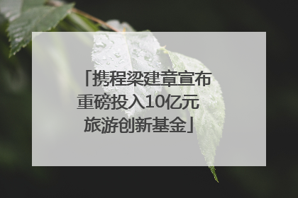 携程梁建章宣布重磅投入10亿元旅游创新基金