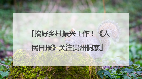 搞好乡村振兴工作！《人民日报》关注贵州侗寨