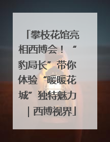 攀枝花馆亮相西博会！“豹局长”带你体验“暖暖花城”独特魅力｜西博视界