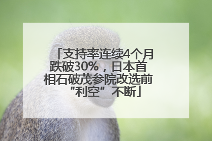 支持率连续4个月跌破30%，日本首相石破茂参院改选前“利空”不断