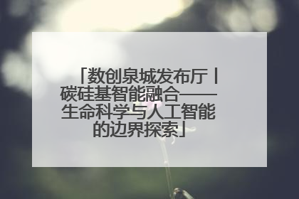 数创泉城发布厅丨碳硅基智能融合——生命科学与人工智能的边界探索