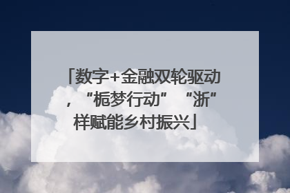 数字+金融双轮驱动，“栀梦行动”“浙”样赋能乡村振兴