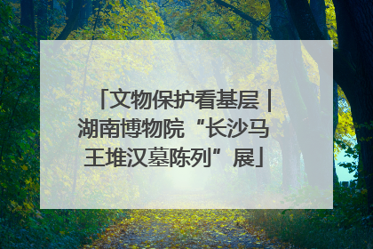 文物保护看基层｜湖南博物院“长沙马王堆汉墓陈列”展