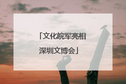 文化皖军亮相深圳文博会