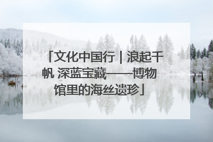 文化中国行｜浪起千帆 深蓝宝藏——博物馆里的海丝遗珍