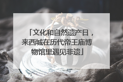 文化和自然遗产日，来西城在历代帝王庙博物馆里遇见非遗