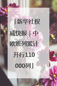 新华社权威快报｜中欧班列累计开行110000列