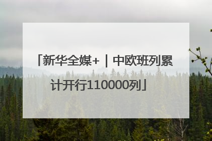 新华全媒+｜中欧班列累计开行110000列