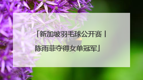 新加坡羽毛球公开赛丨陈雨菲夺得女单冠军