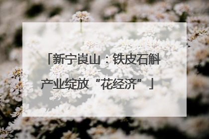 新宁崀山：铁皮石斛产业绽放“花经济”