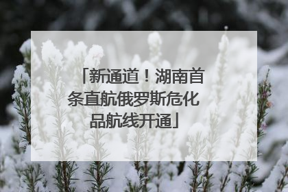 新通道！湖南首条直航俄罗斯危化品航线开通
