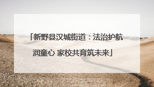 新野县汉城街道：法治护航润童心 家校共育筑未来