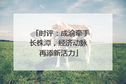 时评：成渝牵手长株潭，经济动脉再添新活力