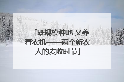 既规模种地 又养着农机——两个新农人的麦收时节