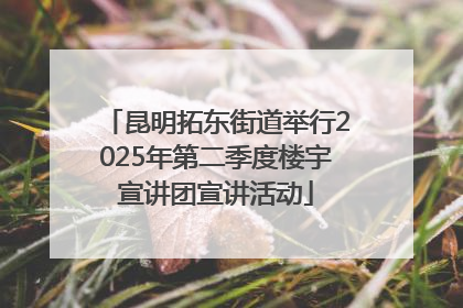 昆明拓东街道举行2025年第二季度楼宇宣讲团宣讲活动