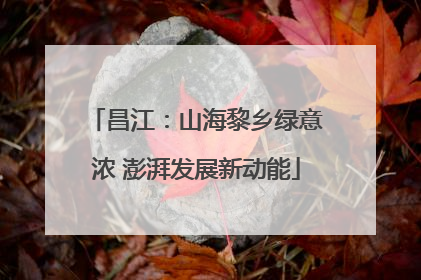 昌江：山海黎乡绿意浓 澎湃发展新动能