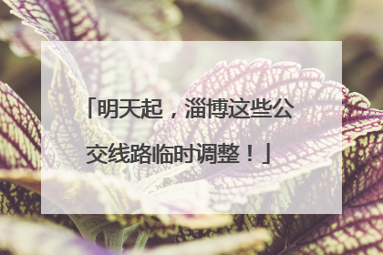 明天起，淄博这些公交线路临时调整！