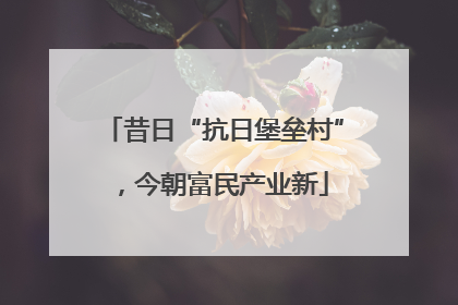 昔日“抗日堡垒村”，今朝富民产业新