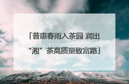 普惠春雨入茶园 润出“湘”茶高质量致富路