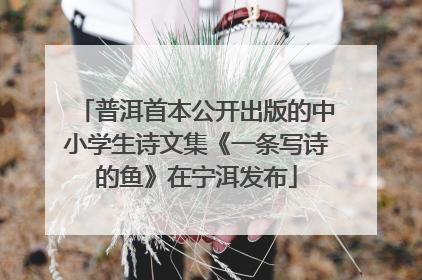 普洱首本公开出版的中小学生诗文集《一条写诗的鱼》在宁洱发布