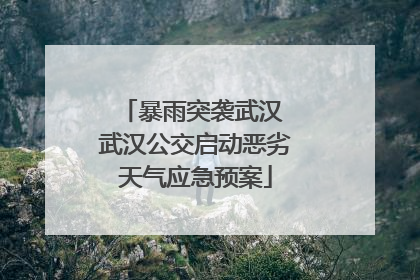 暴雨突袭武汉 武汉公交启动恶劣天气应急预案