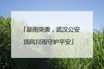 暴雨突袭，武汉公安顶风冒雨守护平安