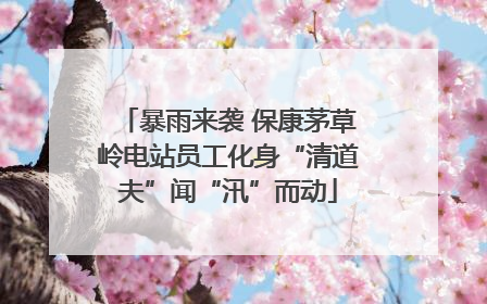 暴雨来袭 保康茅草岭电站员工化身“清道夫”闻“汛”而动