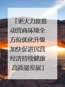 更大力度推动营商环境全方位优化升级加快促进民营经济持续健康高质量发展