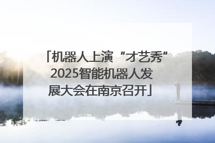 机器人上演“才艺秀” 2025智能机器人发展大会在南京召开