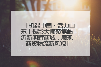 机遇中国・活力山东丨摄影大师聚焦临沂新明辉商城，展现商贸物流新风貌