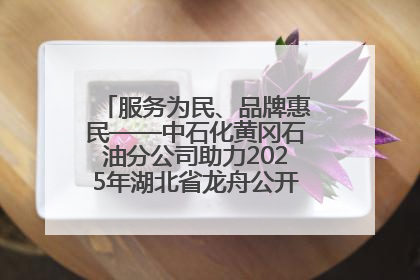 服务为民、品牌惠民——中石化黄冈石油分公司助力2025年湖北省龙舟公开赛（黄冈站）