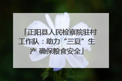 正阳县人民检察院驻村工作队：助力“三夏”生产 确保粮食安全