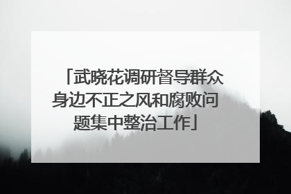 武晓花调研督导群众身边不正之风和腐败问题集中整治工作