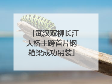 武汉双柳长江大桥主跨首片钢箱梁成功吊装