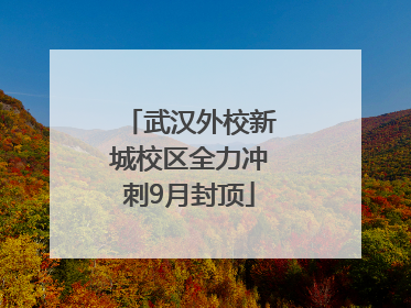 武汉外校新城校区全力冲刺9月封顶